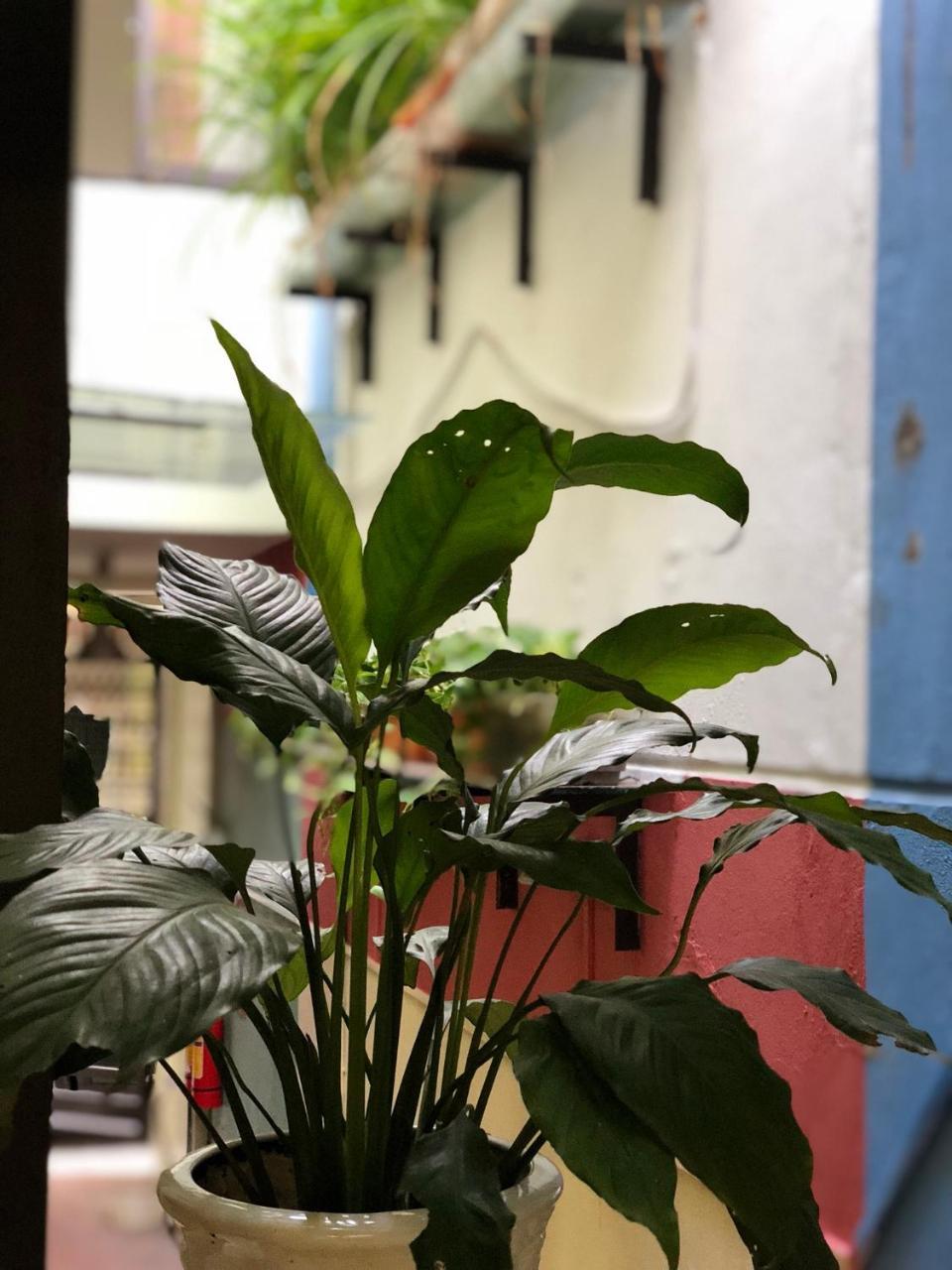 Apartamento Ventana house Hai Phong Exterior foto